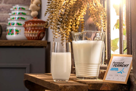 ayran, boisson froide à base de yaourt maison, préparé avec Fernand le Ferment